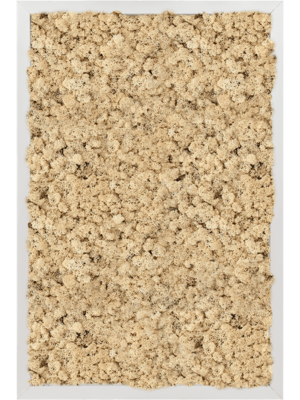Aluminum 100% Reindeer moss (Natural)