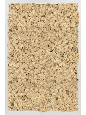 Aluminum 100% Reindeer moss (Natural)