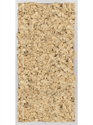 Aluminum 100% Reindeer moss (Natural)