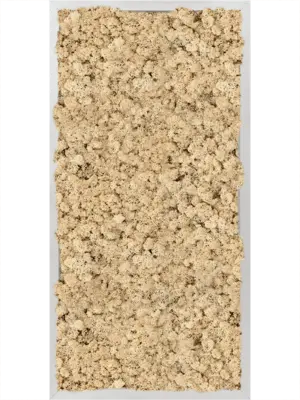 Aluminum 100% Reindeer moss (Natural)