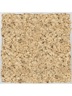 Aluminum 100% Reindeer moss (Natural)