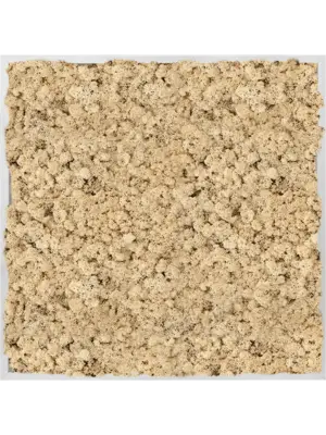 Aluminum 100% Reindeer moss (Natural)