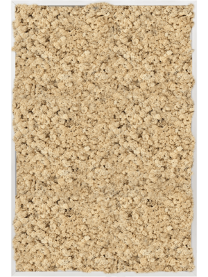 Aluminum 100% Reindeer moss (Natural)