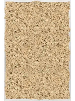 Aluminum 100% Reindeer moss (Natural)