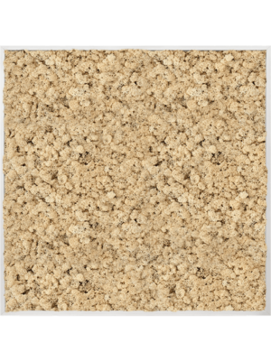 Aluminum 100% Reindeer moss (Natural)
