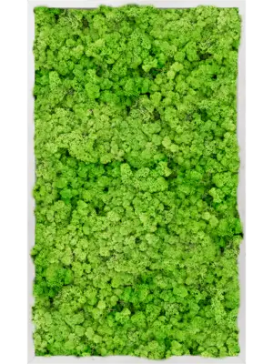 Aluminum 100% Reindeer moss (Light Grass Green)