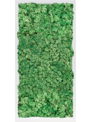 MDF RAL 9010 Satin Gloss 100% Reindeer Moss (Grass green)
