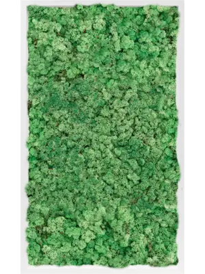 MDF RAL 9010 Satin Gloss 100% Reindeer Moss (Grass green)