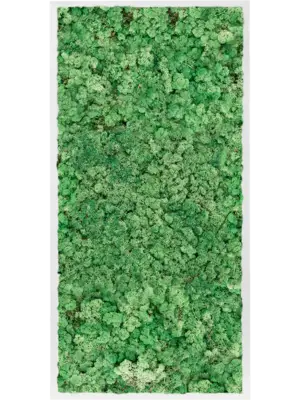 MDF RAL 9010 Satin Gloss 100% Reindeer Moss (Grass green)