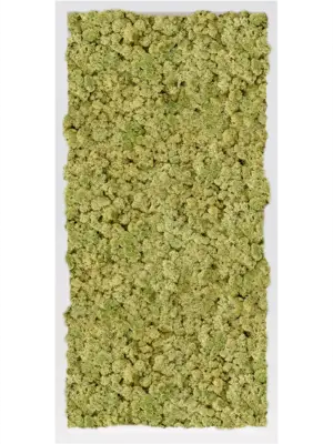 MDF RAL 9010 Satin Gloss 100% Reindeer Moss (Old Green)