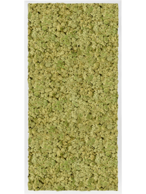 MDF RAL 9010 Satin Gloss 100% Reindeer Moss (Old Green)