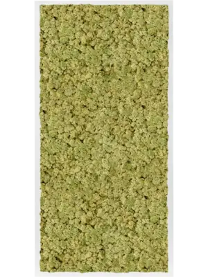 MDF RAL 9010 Satin Gloss 100% Reindeer Moss (Old Green)