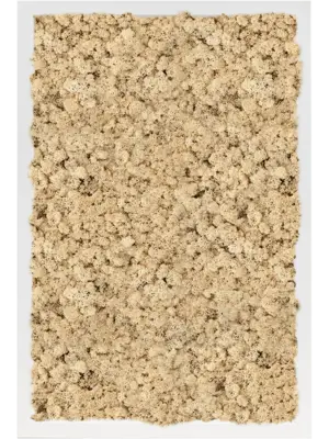 MDF RAL 9010 Satin Gloss 100% Reindeer Moss (Natural)