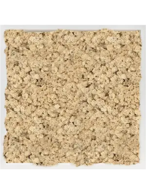 MDF RAL 9010 Satin Gloss 100% Reindeer Moss (Natural)