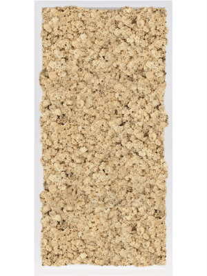 MDF RAL 9010 Satin Gloss 100% Reindeer Moss (Natural)