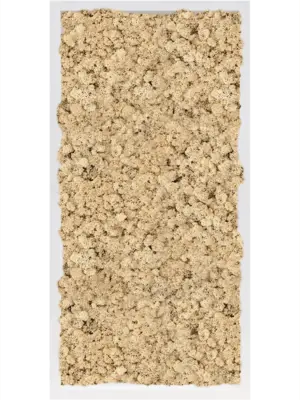 MDF RAL 9010 Satin Gloss 100% Reindeer Moss (Natural)