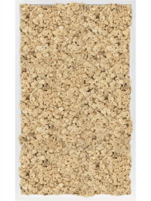 MDF RAL 9010 Satin Gloss 100% Reindeer Moss (Natural)