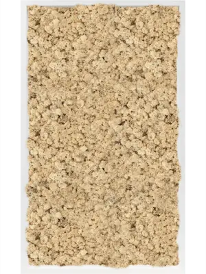 MDF RAL 9010 Satin Gloss 100% Reindeer Moss (Natural)