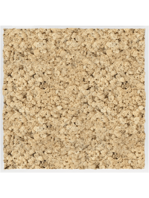 MDF RAL 9010 Satin Gloss 100% Reindeer Moss (Natural)