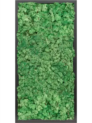 MDF RAL 9005 Satin Gloss 100% Reindeer moss (Grass Green)