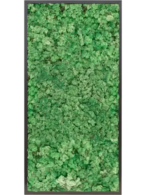 MDF RAL 9005 Satin Gloss 100% Reindeer moss (Grass Green)