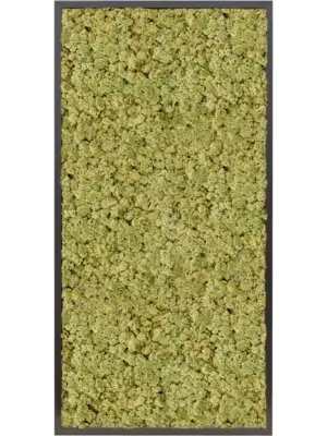 MDF RAL 9005 Satin Gloss 100% Reindeer moss (Old Green)