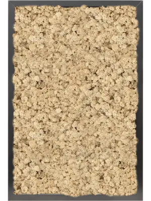 MDF RAL 9005 Satin Gloss 100% Reindeer moss (Natural)
