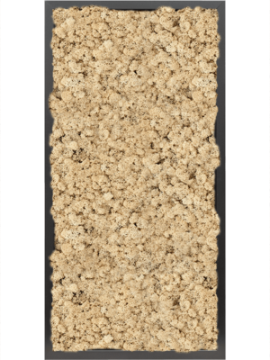 MDF RAL 9005 Satin Gloss 100% Reindeer moss (Natural)
