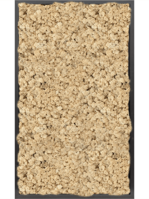 MDF RAL 9005 Satin Gloss 100% Reindeer moss (Natural)