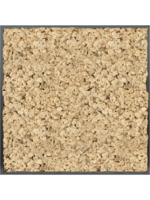 MDF RAL 9005 Satin Gloss 100% Reindeer moss (Natural)