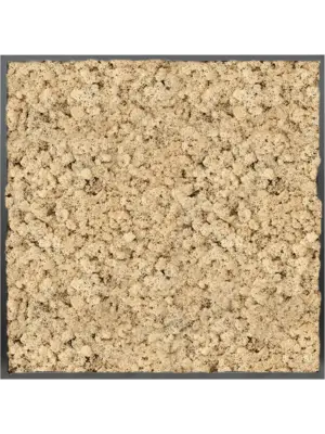 MDF RAL 9005 Satin Gloss 100% Reindeer moss (Natural)