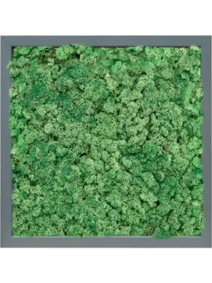 MDF RAL 7016 Satin Gloss 100% Reindeer (Grass Green)