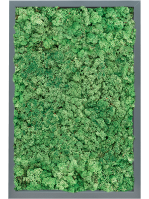 MDF RAL 7016 Satin Gloss 100% Reindeer (Grass Green)