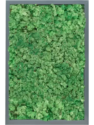 MDF RAL 7016 Satin Gloss 100% Reindeer (Grass Green)