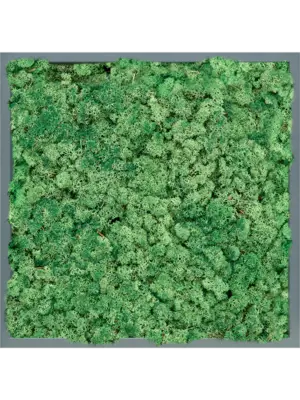 MDF RAL 7016 Satin Gloss 100% Reindeer (Grass Green)