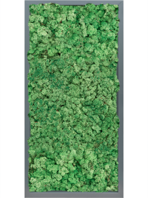 MDF RAL 7016 Satin Gloss 100% Reindeer (Grass Green)