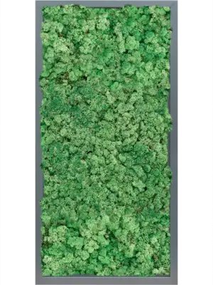 MDF RAL 7016 Satin Gloss 100% Reindeer (Grass Green)