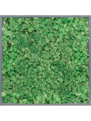 MDF RAL 7016 Satin Gloss 100% Reindeer (Grass Green)