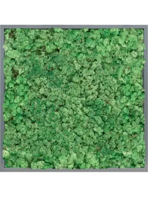 MDF RAL 7016 Satin Gloss 100% Reindeer (Grass Green)