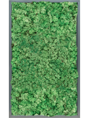 MDF RAL 7016 Satin Gloss 100% Reindeer (Grass Green)