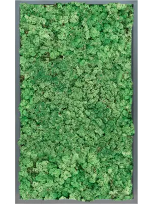 MDF RAL 7016 Satin Gloss 100% Reindeer (Grass Green)