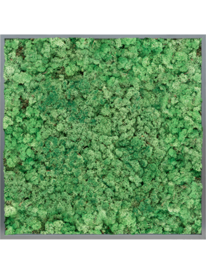 MDF RAL 7016 Satin Gloss 100% Reindeer (Grass Green)