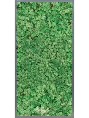 MDF RAL 7016 Satin Gloss 100% Reindeer (Grass Green)