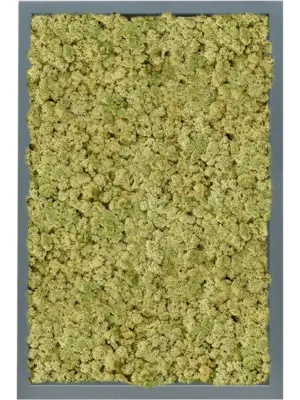 MDF RAL 7016 Satin Gloss 100% Reindeer (OldGreen)