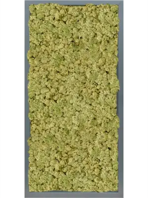 MDF RAL 7016 Satin Gloss 100% Reindeer (OldGreen)