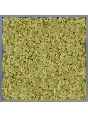 MDF RAL 7016 Satin Gloss 100% Reindeer (OldGreen)
