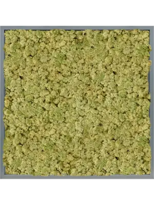 MDF RAL 7016 Satin Gloss 100% Reindeer (OldGreen)