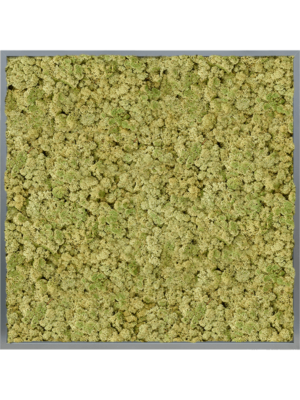 MDF RAL 7016 Satin Gloss 100% Reindeer (OldGreen)