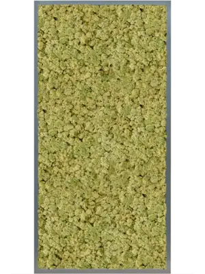 MDF RAL 7016 Satin Gloss 100% Reindeer (OldGreen)