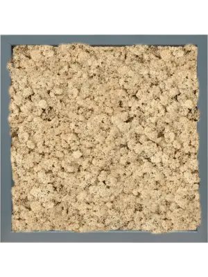 MDF RAL 7016 Satin Gloss 100% Reindeer (Natural)